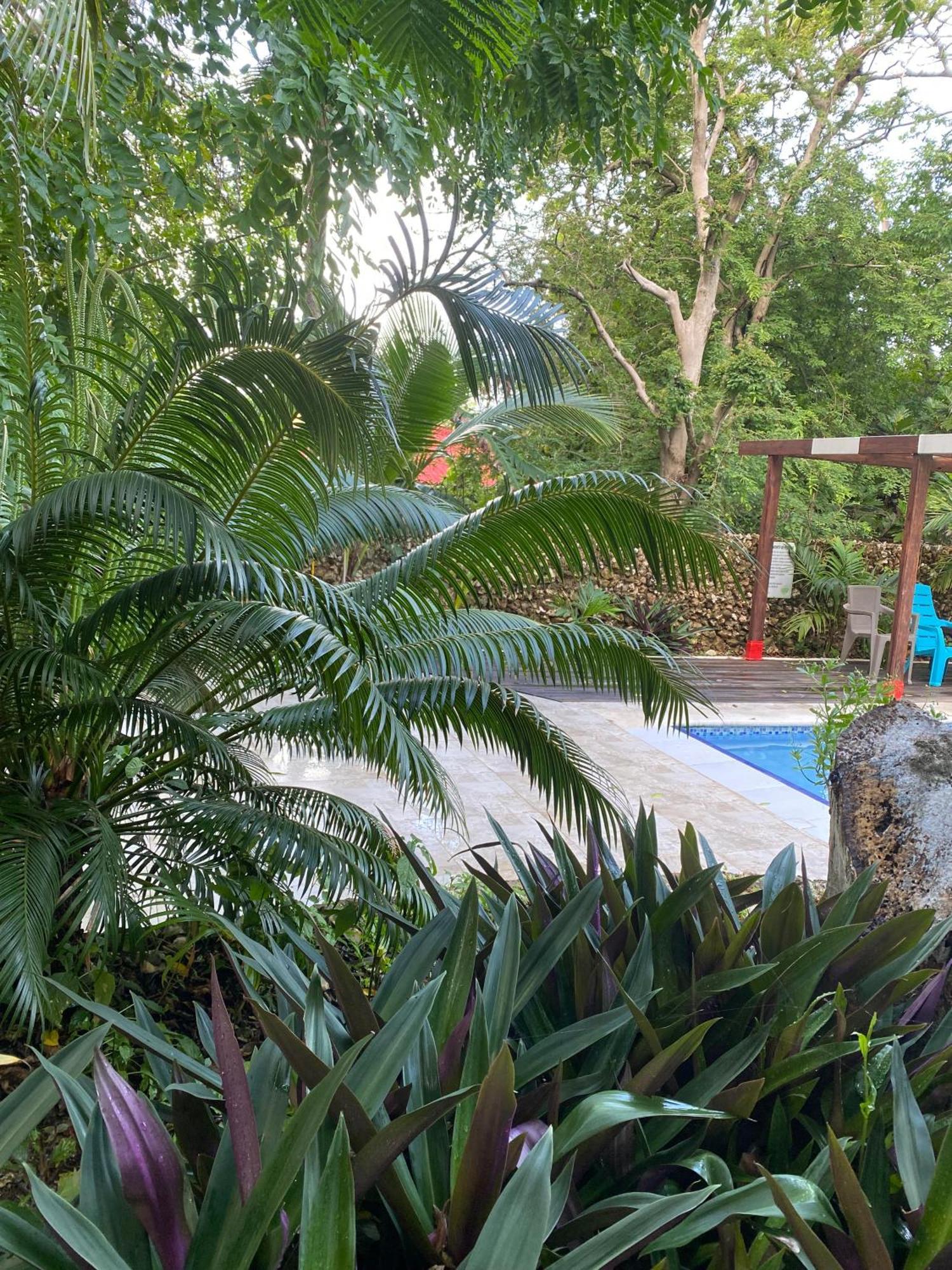 Villa Casona La Carolina San Andrés Esterno foto
